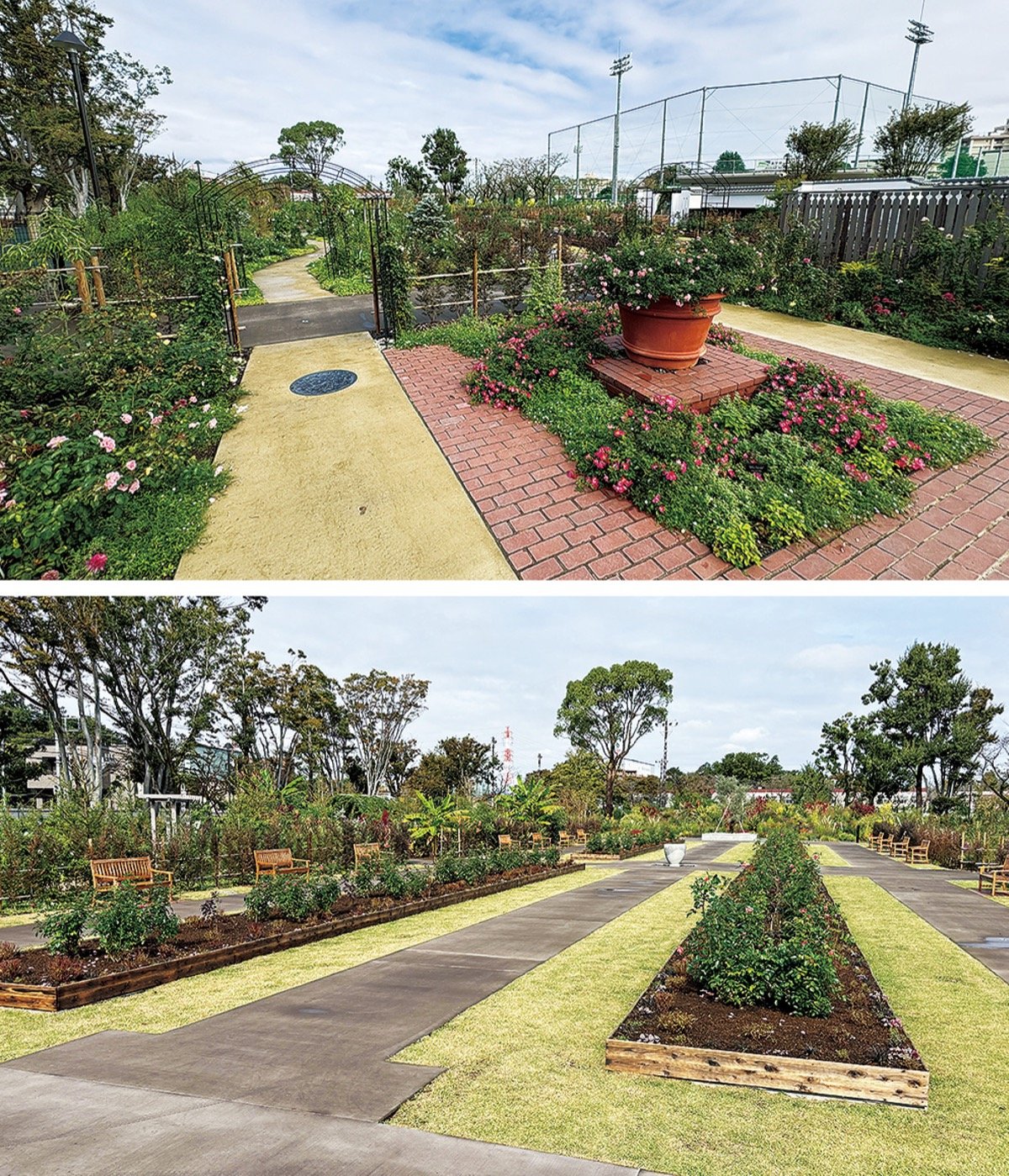 🏞️ 코료 공원 이미지 4